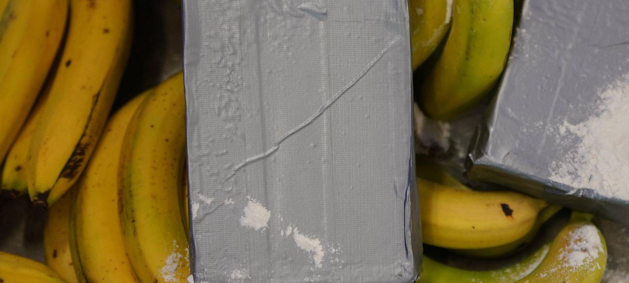 Weißes Pulver, das Kokain darstellen soll, liegt neben Bananen.