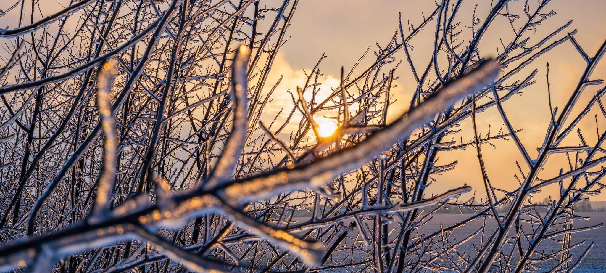 Winterwetter in Brandenburg