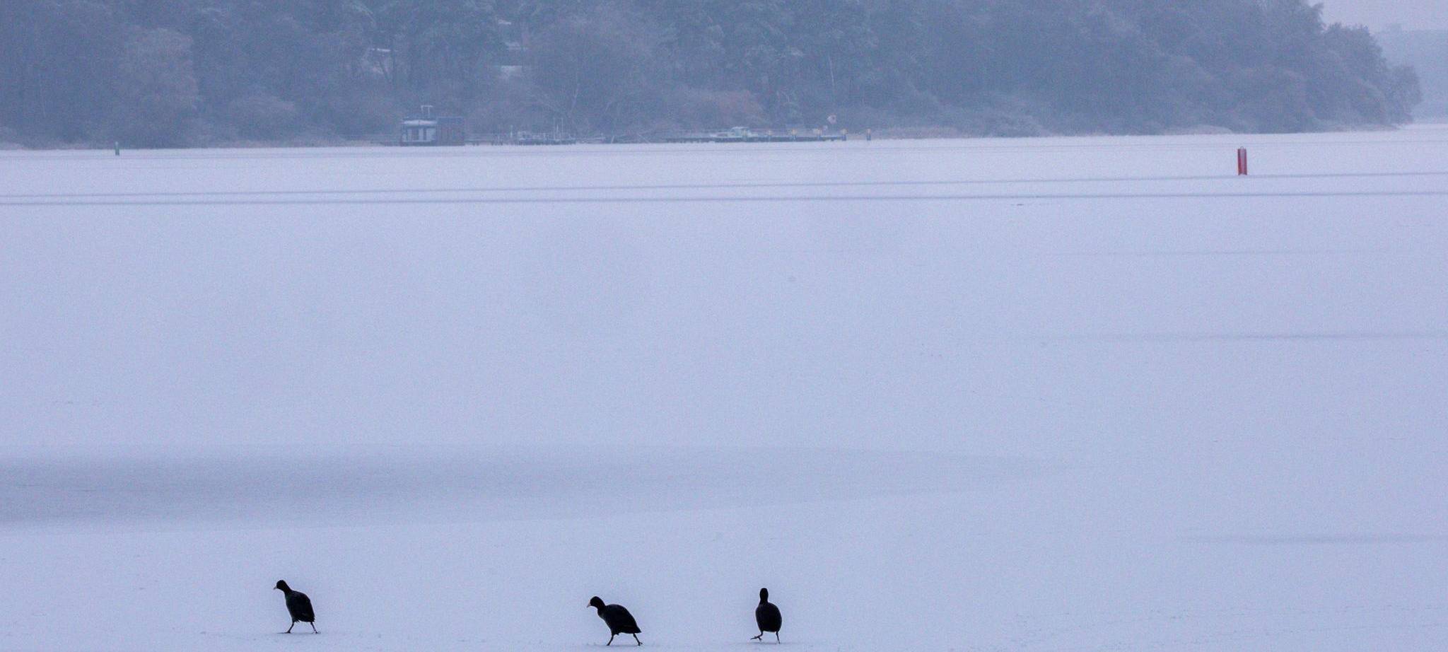 Winterwetter in der Seenplatte