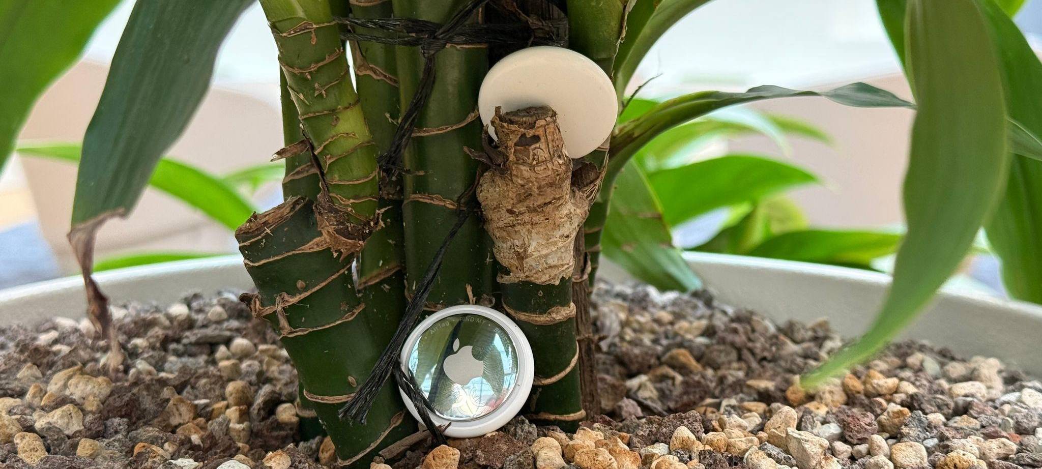 Zwei Airtags liegen in einem Pflanzenkübel