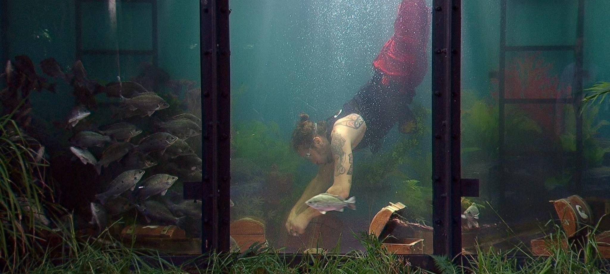 Ich bin ein Star - Holt mich hier raus! - Tag 10