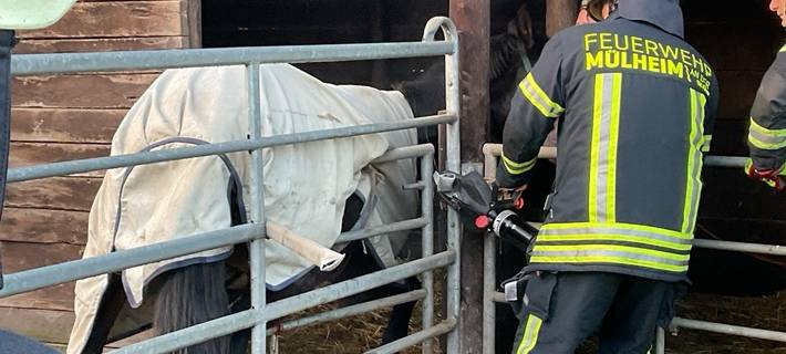 Einsatz der hydraulischen Rettungsschere