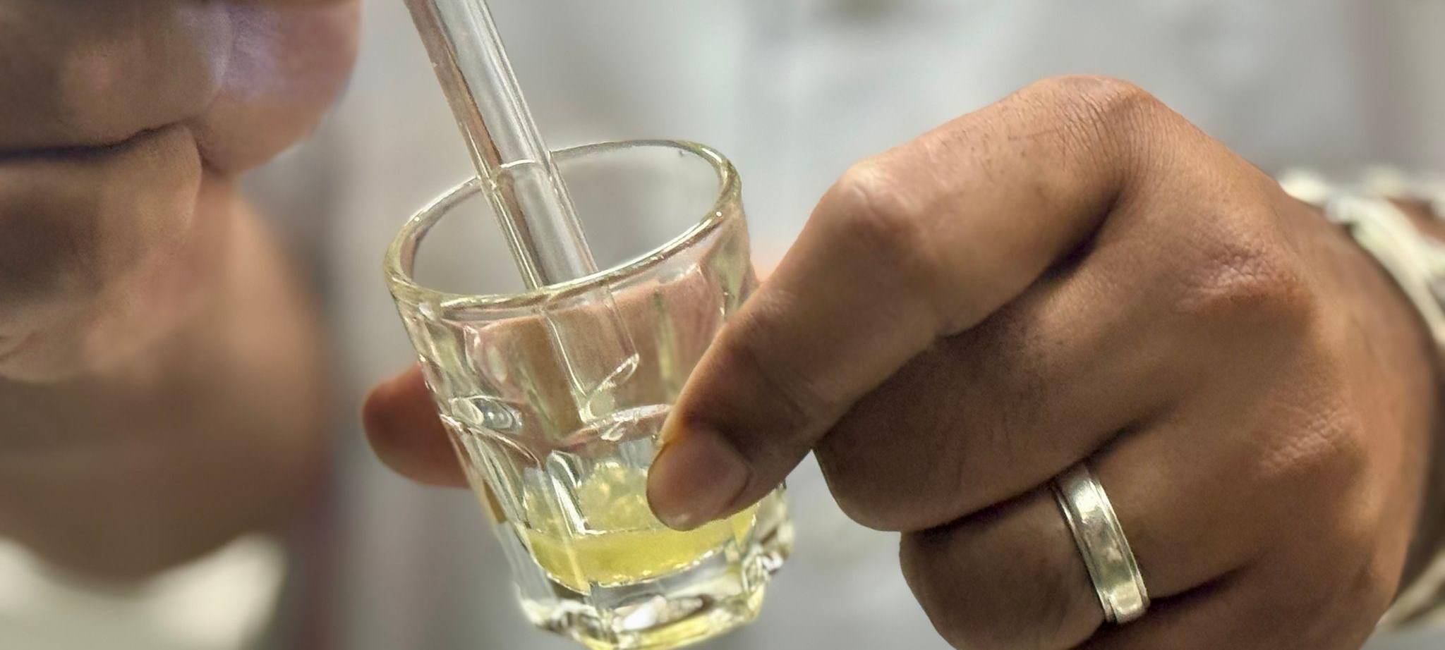 Schlangenfarm in Bangkok zur Herstellung von Antiserum