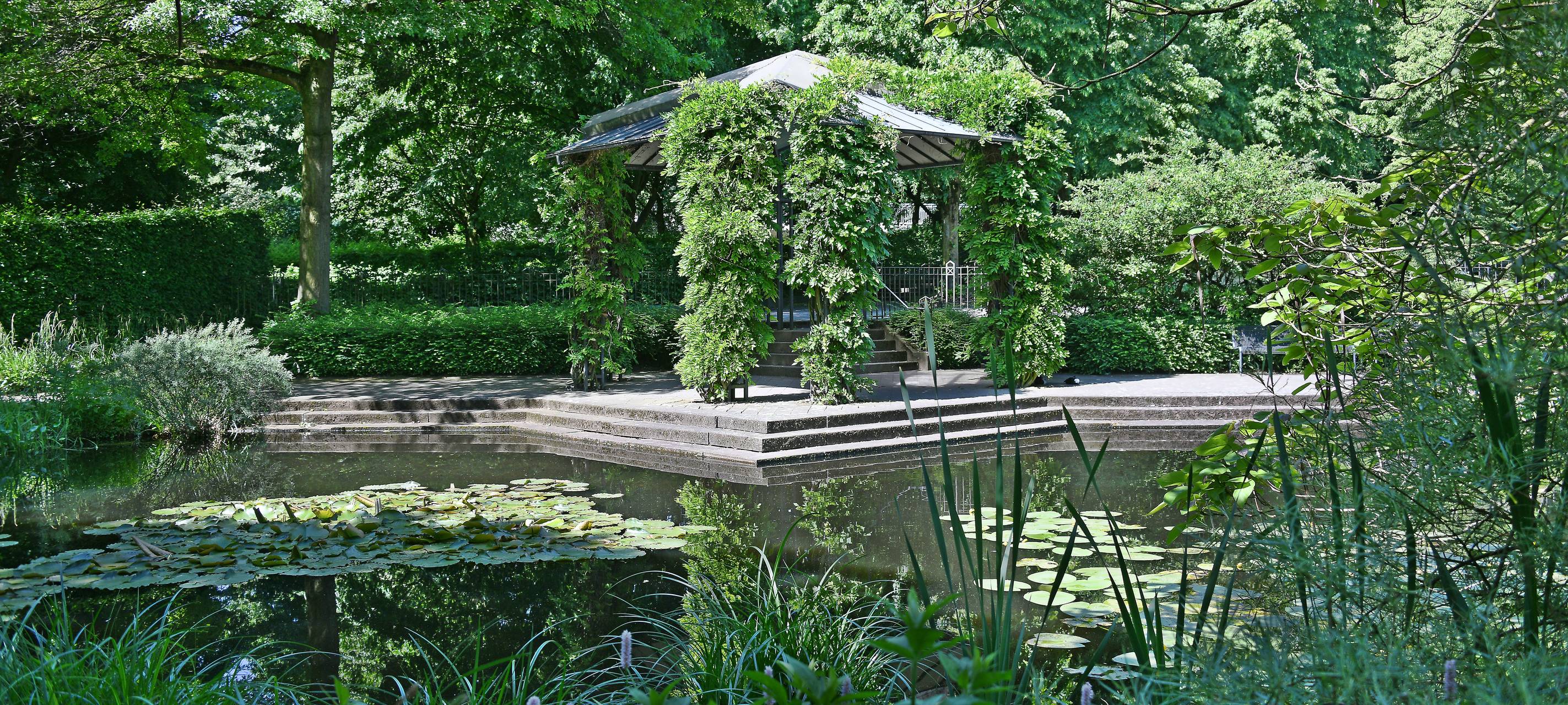 Teiche im Stadthallengarten werden überarbeitet