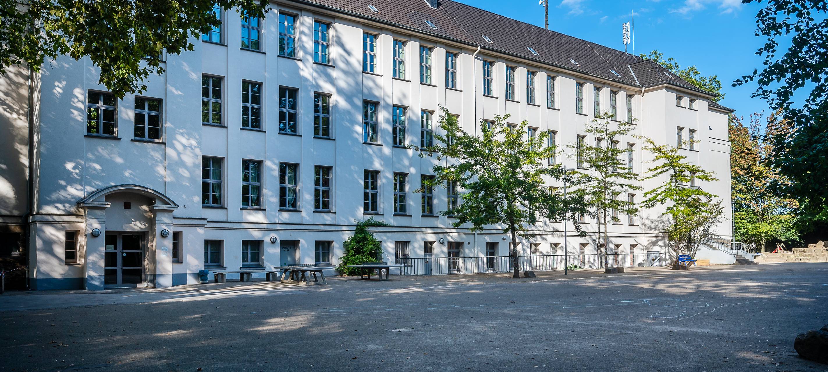 Ab morgen Baumfällungen an der Tilsiter Straße