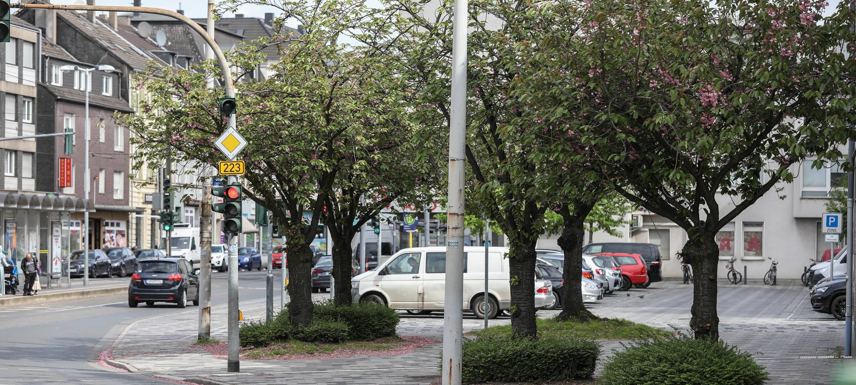 Aufräumtag: Styrum putzt