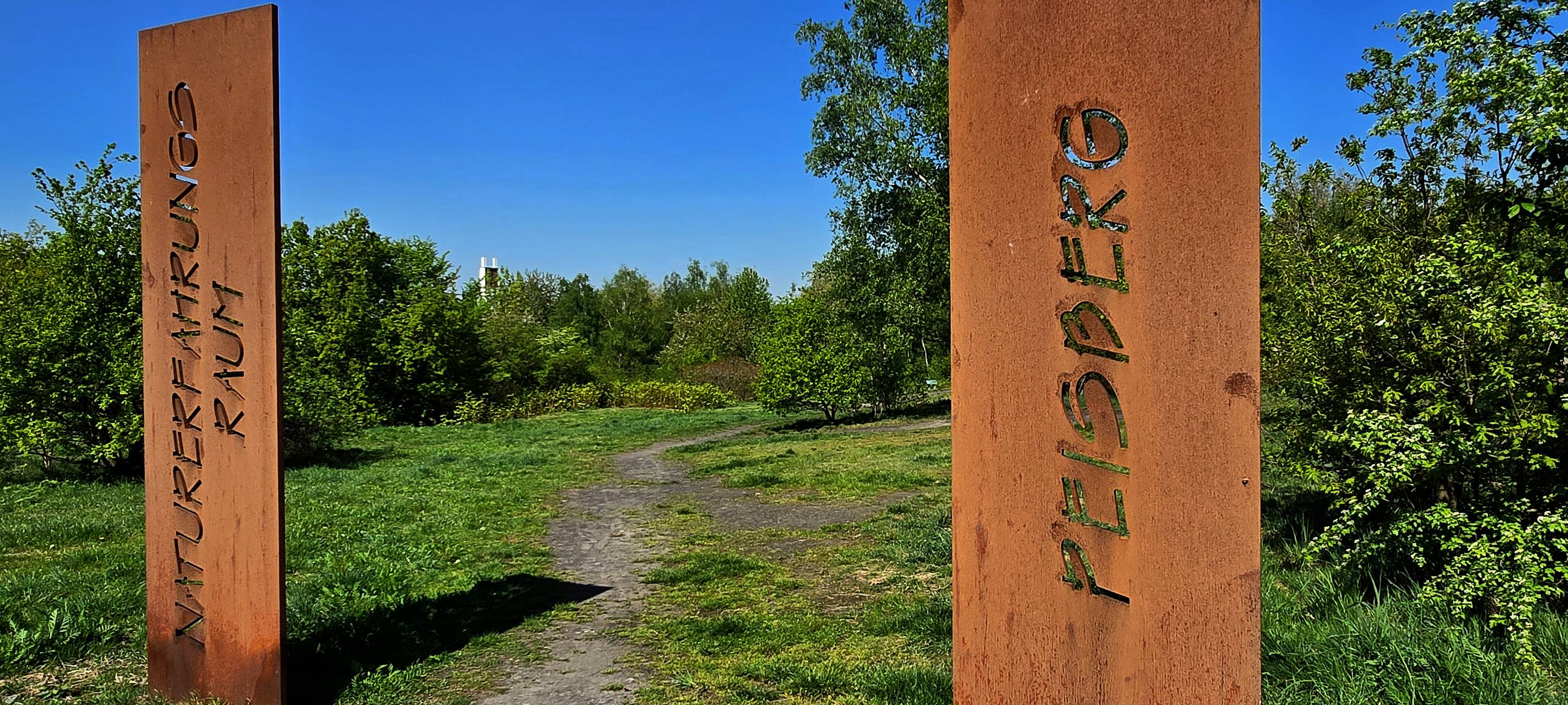 Stadt verkauft vier Baugrundstücke am Peisberg