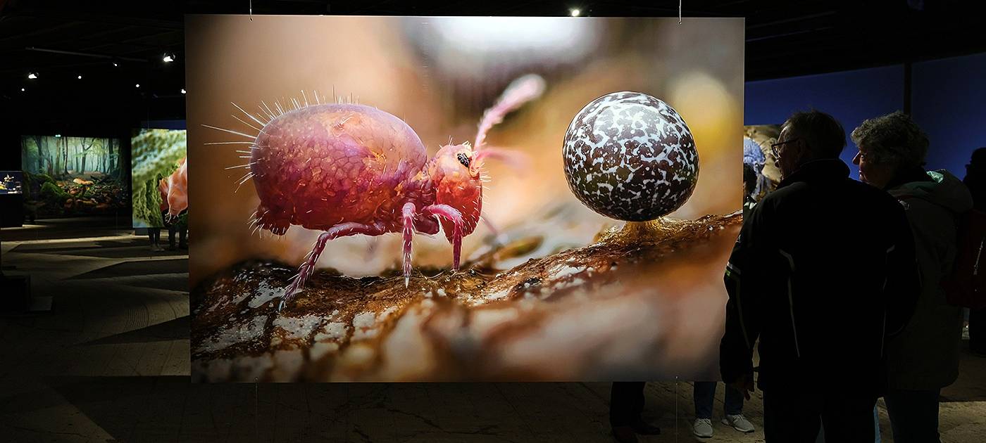 Oberhausen: 100.000 Besucher für „Mythos Wald"