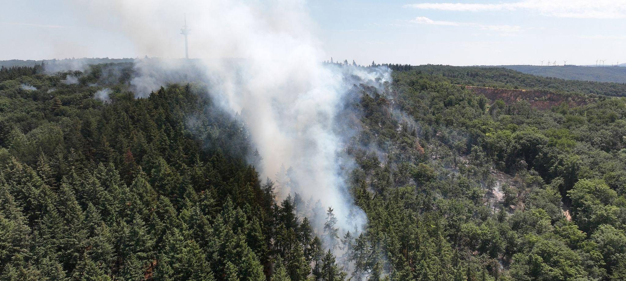 Waldbrand mit Munition in Rheinland-Pfalz brennt