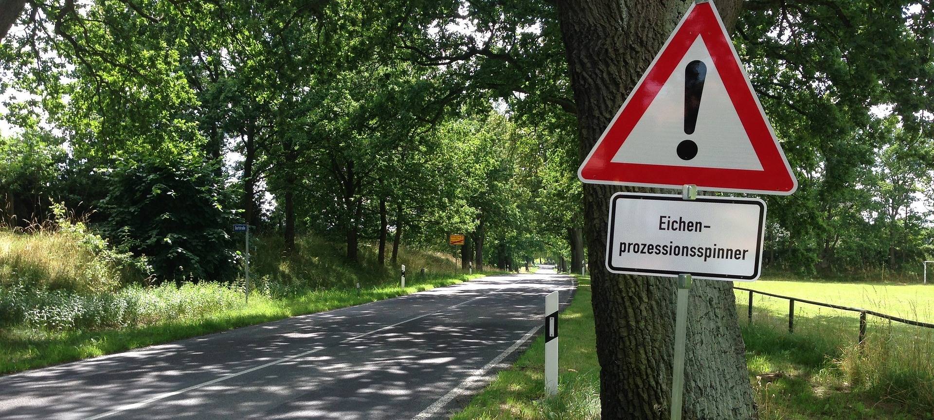 Biozid wird an großen Straßen versprüht