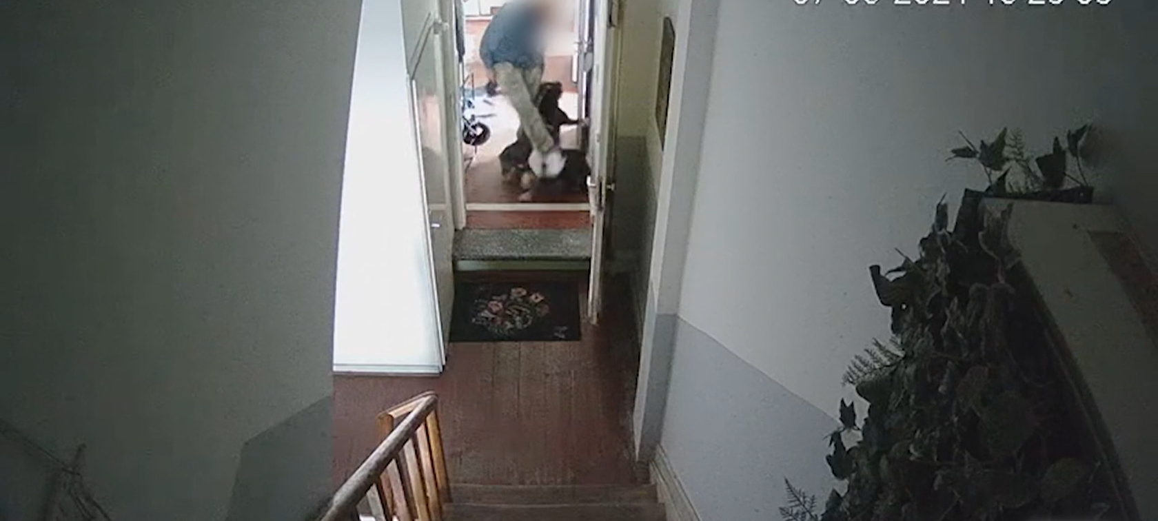 PETA zeigt Tierquäler an