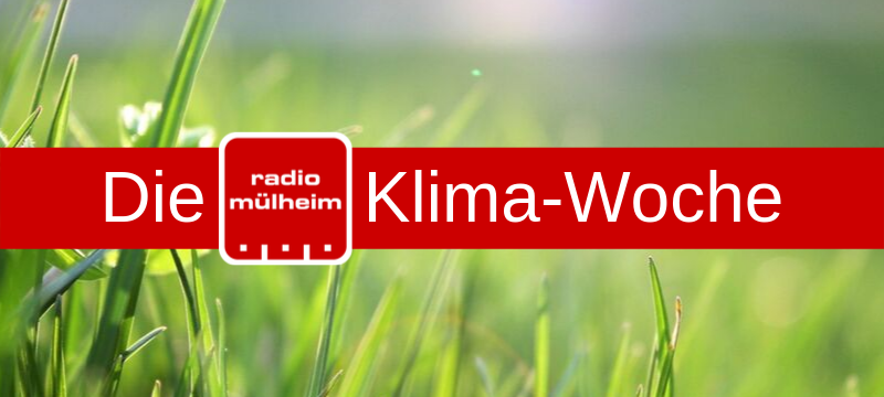 Fleisch und Klimawandel