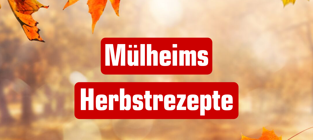 Rinderrouladen mit Kichererbsen