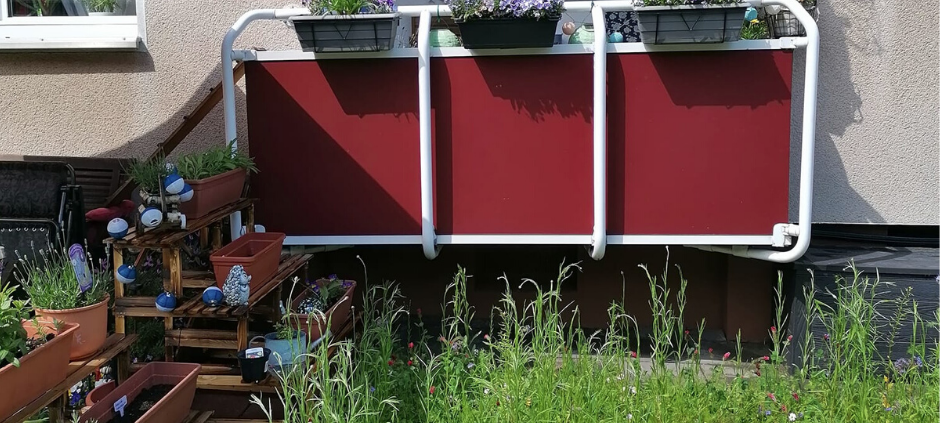 Mülheims schönste Frühjahrsprojekte