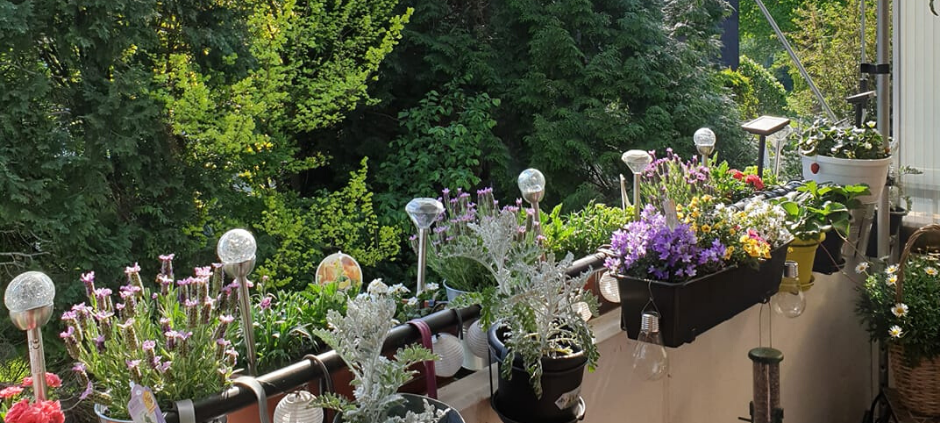 Mülheims schönste Frühjahrsprojekte