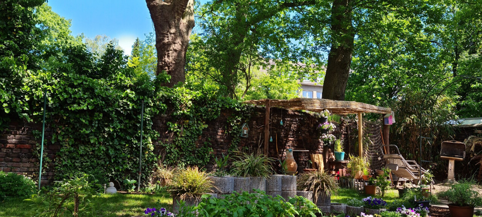 Mülheims schönste Frühjahrsprojekte