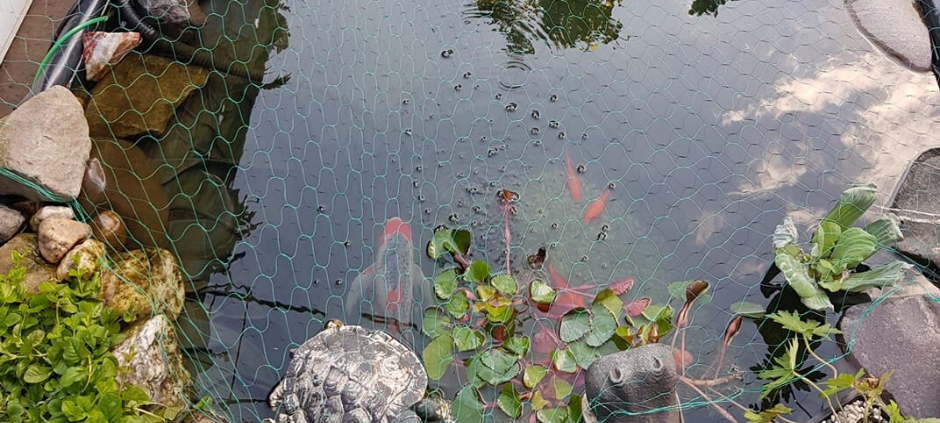 Mülheims schönste Frühjahrsprojekte