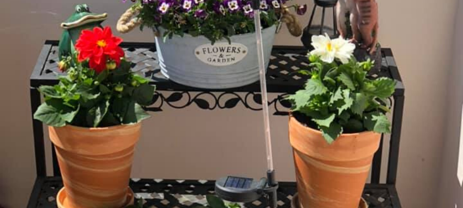 Mülheims schönste Frühjahrsprojekte